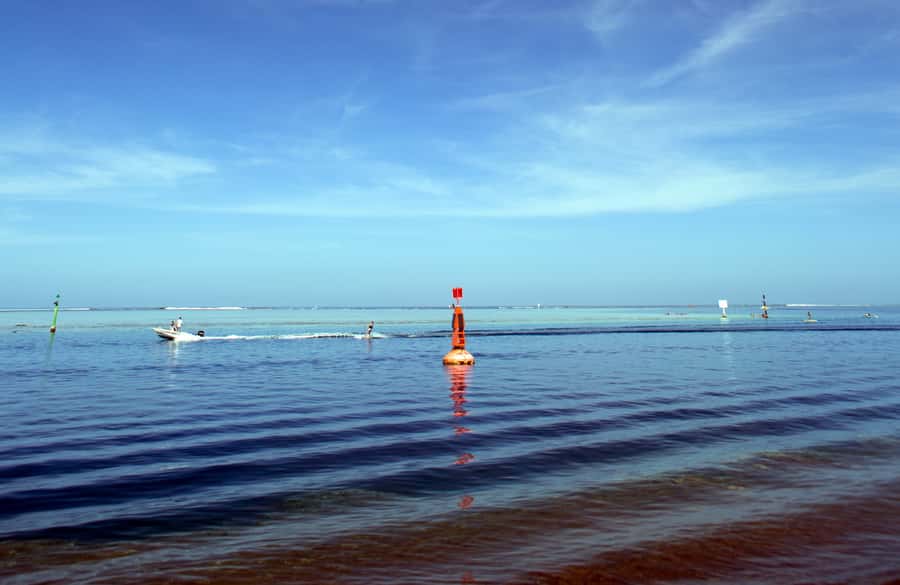 Tahiti: Private Half Day Culture and Nature Highlights Tour - Along Tahiti’s coast by private minivan