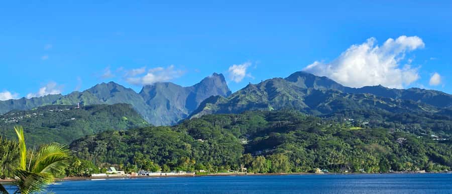 Tahiti Private Half Day Tour. Nature, history and culture - Key points to know before you book