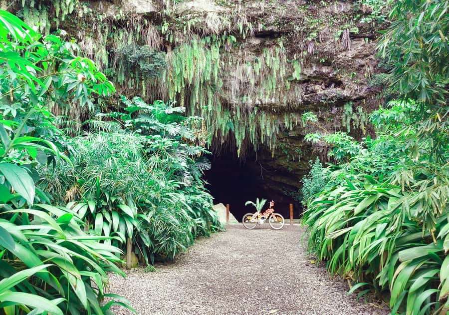 Tahiti Private Half Day Tour. Nature, history and culture - What Max and Natalia add to the day