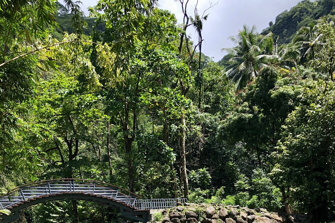 Tahiti: Tour of the East or West Coast (Half Day) - Faarumai Waterfalls: the East Coast highlight