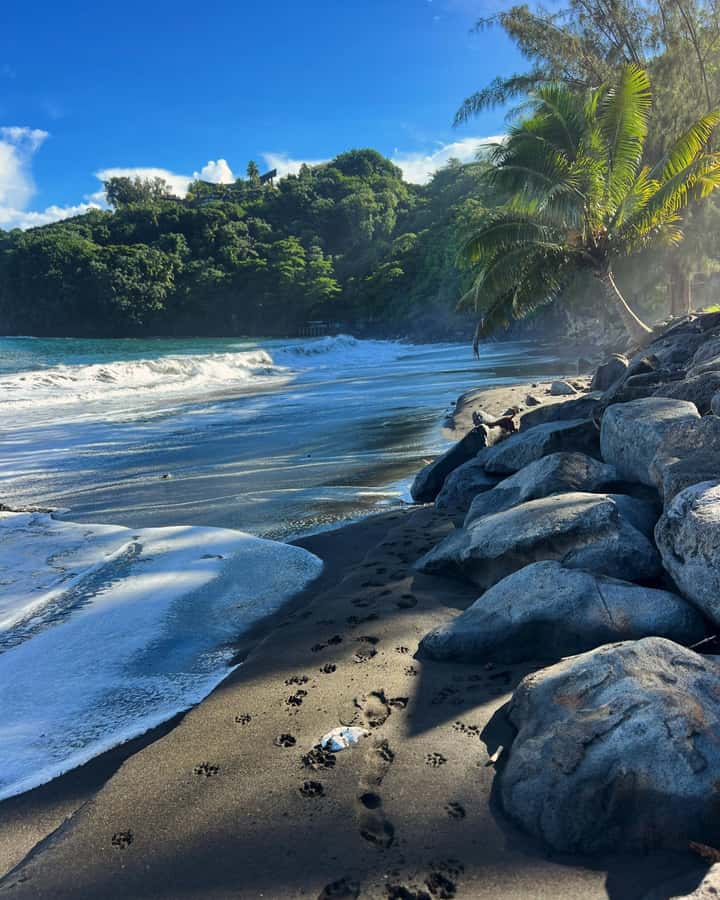 Tahiti: Unique East Coast Half Day Tour with Local Guide - Six things to know before you book