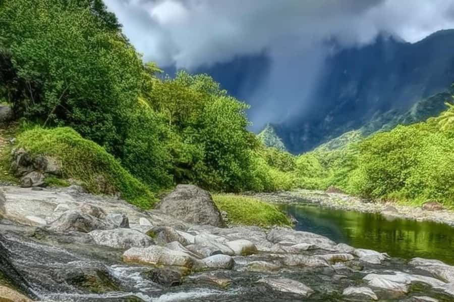 Tahiti: Unique East Coast Half Day Tour with Local Guide - Orofara and the blue-eyed river eels