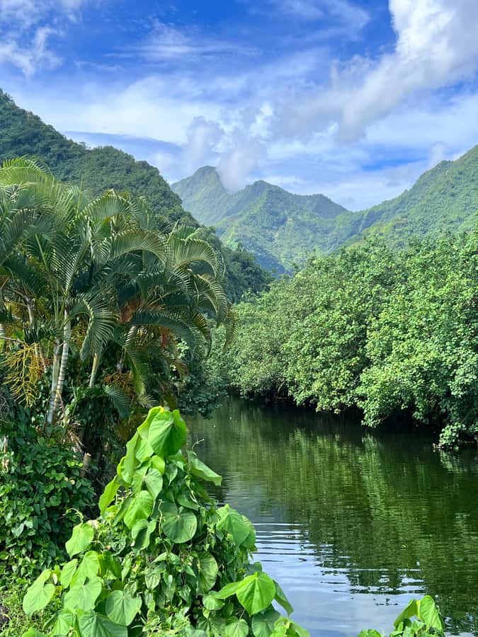 Tahiti: Unique Full Day West Coast, Combo Tour to Teahupoo - Tahitian Secrets and the story of Monoi oil