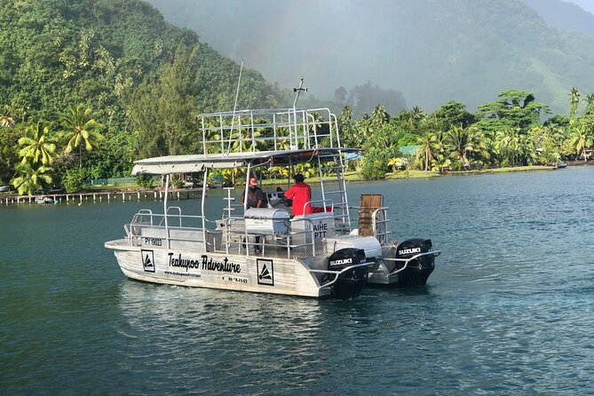 Taxi Boat to Watch the Teahupoo International Surfing Competition - What the guide adds to the outing