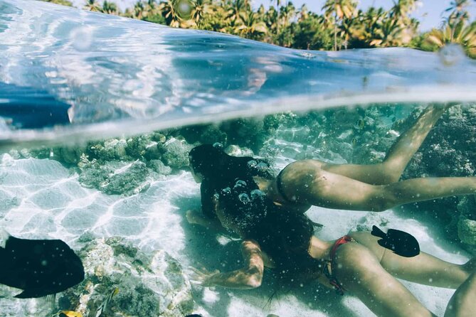 The Vanilla tour of Taha'a in a comfortable outrigger canoe - Champon Pearl Farm: seeing how black pearls begin