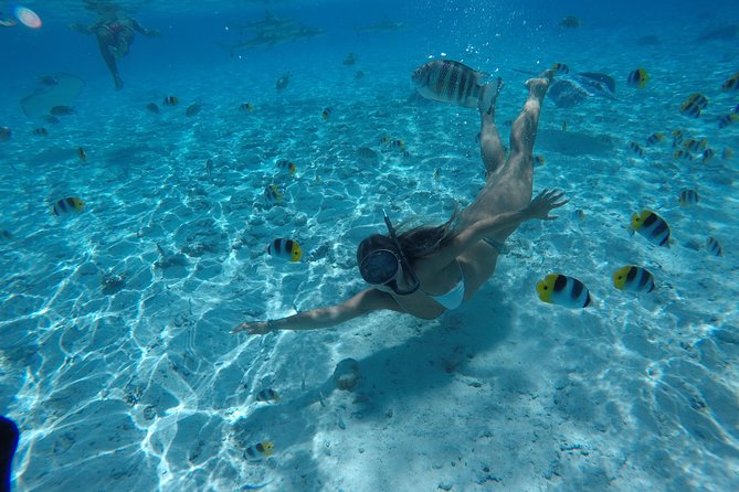 Toa Boat Bora Bora Private Lagoon tour On Ambassador Boat - Polynesian stories and a guide who shapes the day