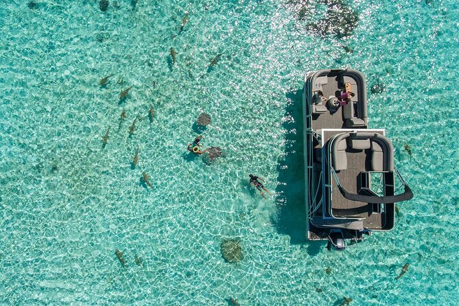 Toa Boat Bora Bora Private Lagoon tour On Ambassador Boat - Why a private outing may be worth $650 per person