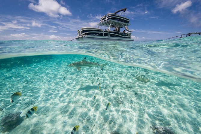 Toa Boat Bora Bora Private Lagoon tour On Ambassador Boat - Who will get the most from this four-hour cruise