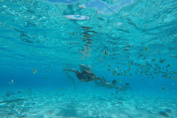 Toa Boat Bora Bora Private Lagoon tour with Lunch on Entertainer Bar Boat - Drinks, music, and the pace between stops