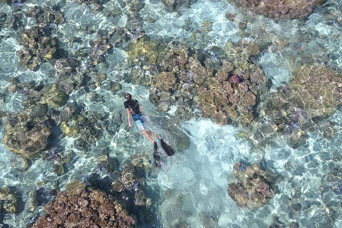 Tohora Bora Bora Snorkeling Lagoon Tours - The Guides Make the Difference