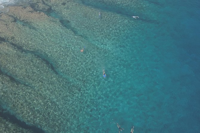 Tohora Bora Bora Snorkeling Lagoon Tours - Practical Details Before You Book