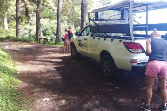 TOUR Safari 4X4 - Is $54.58 a good price?