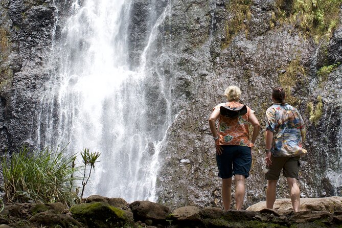 Tour Tahiti in Private - Why a private Tahiti tour works well during a connection