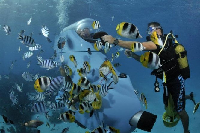 Underwater Scooter - A good fit for children and mixed-ability families