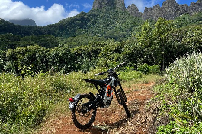 Unique excursion to Moorea on a 100% electric motorbike - Starting at Ōpūnohu Bay