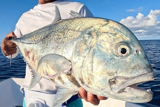 Unique in Raiatea: discover the lagoon, fish, cook, enjoy! - Domaine Pari Pari and the wider lagoon scenery