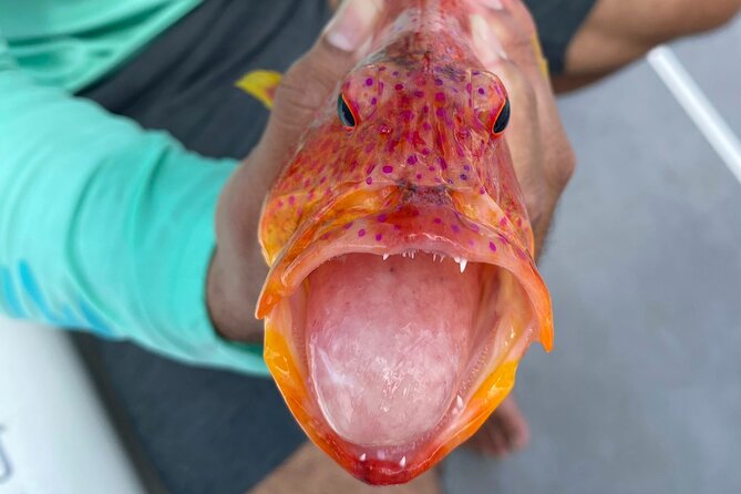 Unique in Raiatea: discover the lagoon, fish, cook, enjoy! - Captain Kenzo and the personal service