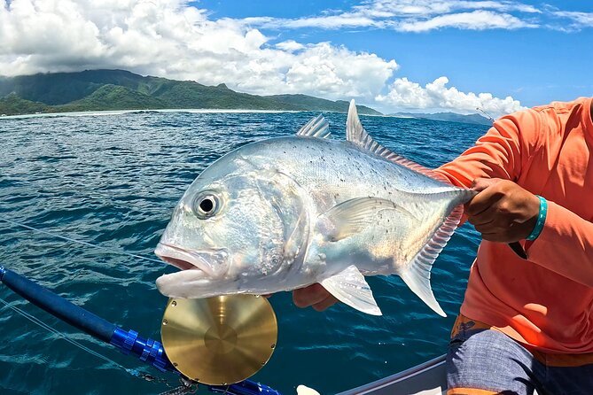 Unique in Raiatea: discover the lagoon, fish, cook, enjoy! - Fishing between Raiatea and Tahaa