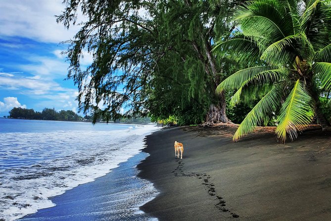 Unique Tahiti Tour - personalised, small group east coast tour - Faarumai Waterfalls and the five-minute walk