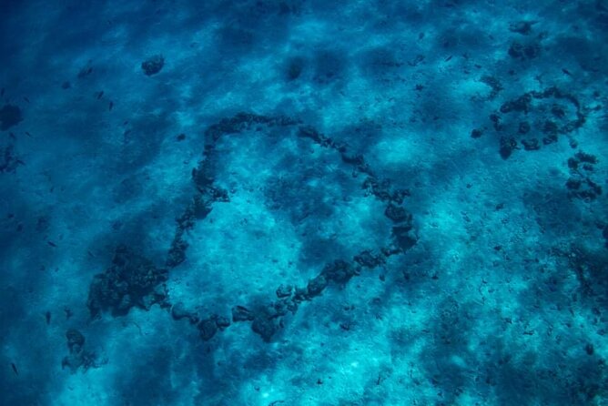 Want to escape? Treat yourself to a snorkeling session in Tahiti! - What the $120 price really covers
