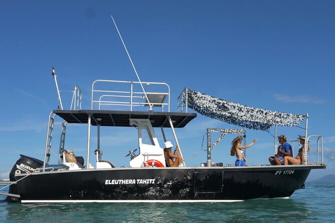 Whale Watching Activity - Marina Taina is the practical starting point