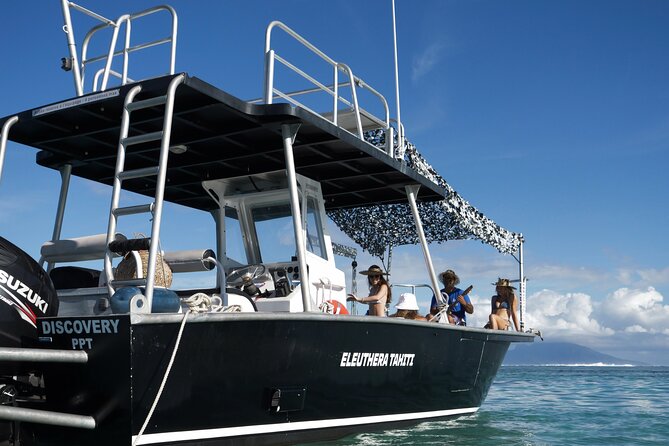 Whale Watching Activity - Reef snorkeling adds a useful second chance