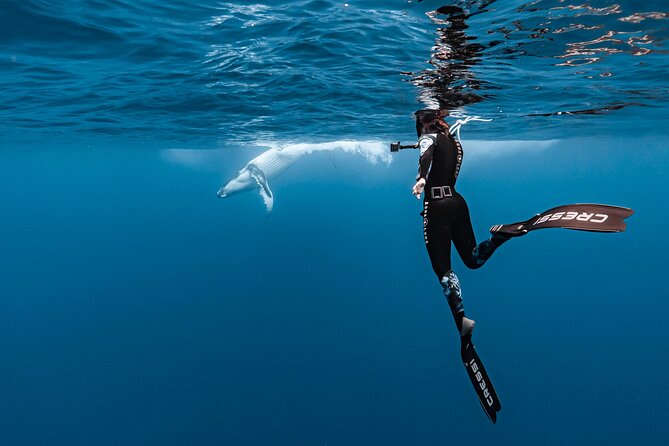 Whale watching and snorkelling in Moorea - Who should book this Moorea whale trip
