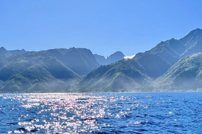 Whale watching DE Humpback West Coast of Tahiti - The optional launch into the water