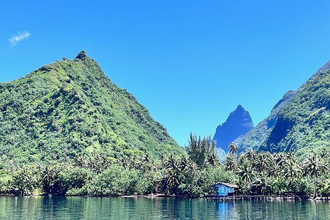 Whale watching DE Tahiti Peninsula - Humpback whales in Tahiti’s winter waters