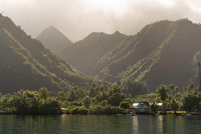 Whale watching DE Tahiti Peninsula - The rules protect both you and the whales