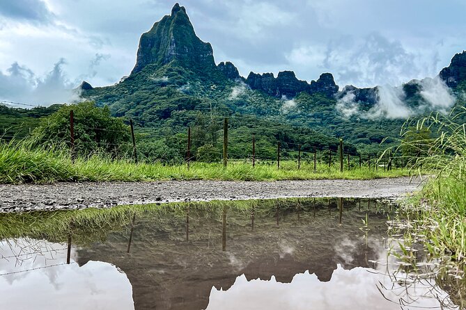 Whale watching in Moorea - Snorkeling Moorea Lagoon after the whales