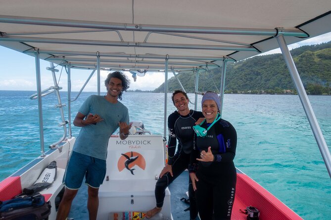 Whale watching on the preserved and quiet coast of Paea (Pk26) - Choosing between the three boat formats