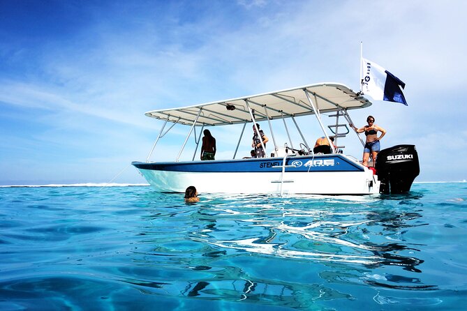 Whale watching on the preserved and quiet coast of Paea (Pk26) - Communication and guide quality