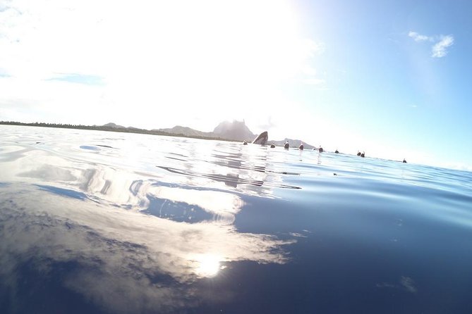 Whale Watching Tours in Bora Bora - The hydrophone adds a second way to find whales