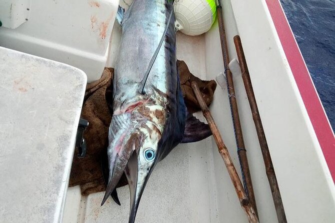 Wholesale Fishing in Poti Marara at Tahiti Teahupoo Peninsula - Teahupoo from the water